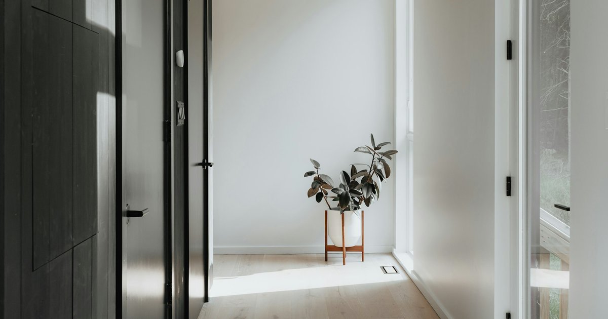 A white hallway with dark doors on the left, an open door on the right and a potted plant at the far wall.